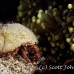 crab_hermit_res_h_0705_png0090.jpg